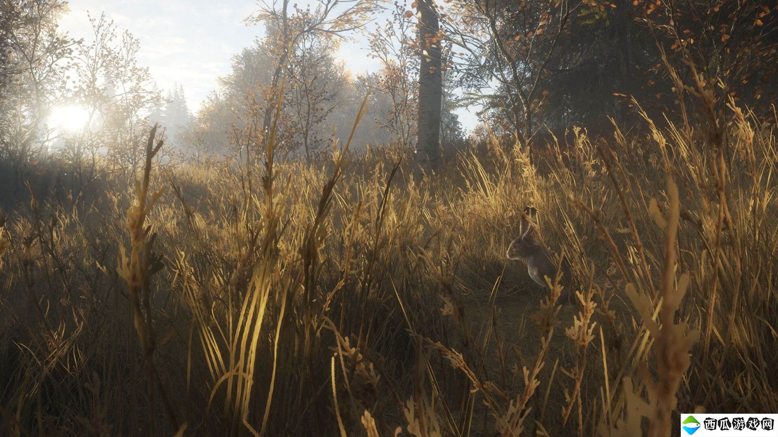 《猎人：荒野的呼唤》DLC上线 追踪13种野生动物