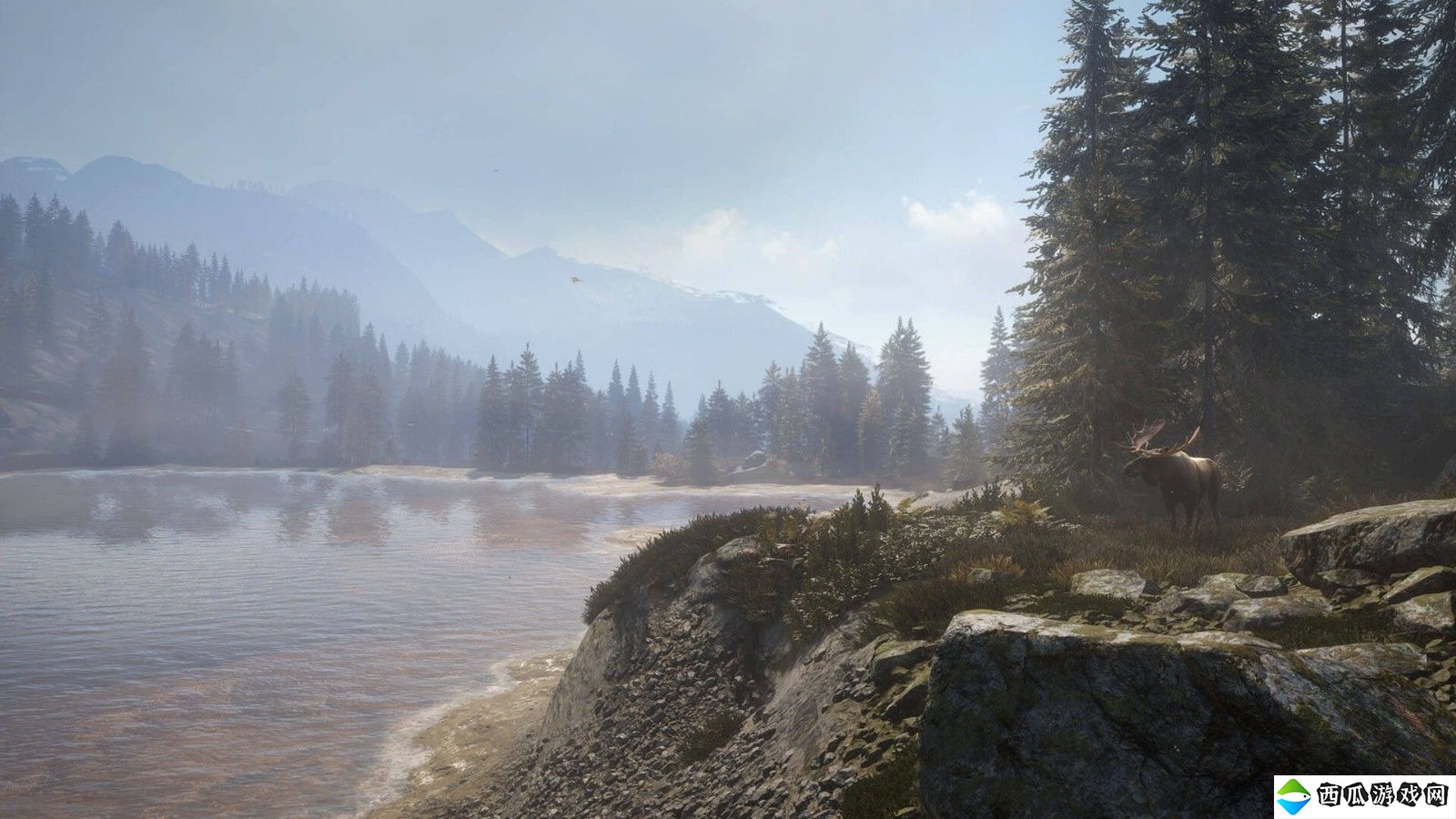 《猎人：荒野的呼唤》DLC上线 追踪13种野生动物